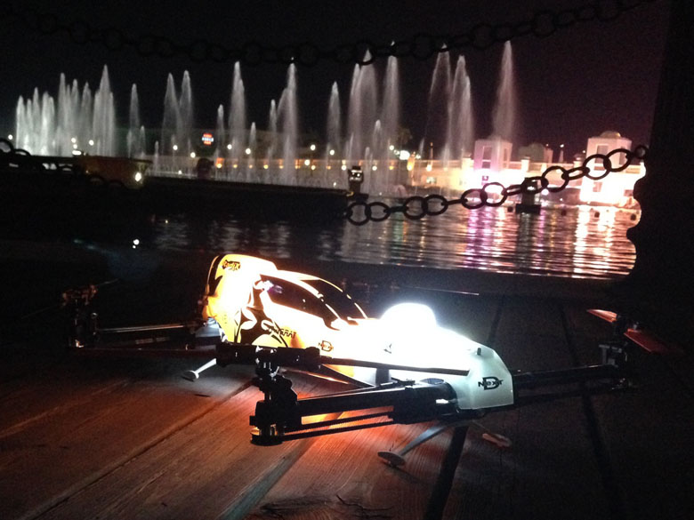 Night Stingray at Marina